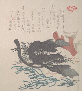 Algas varias, siglo XIX de Kubo Shunman