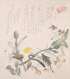 Violetas, Primaveras y Otras Flores de Primavera, siglo XIX de Kubo Shunman