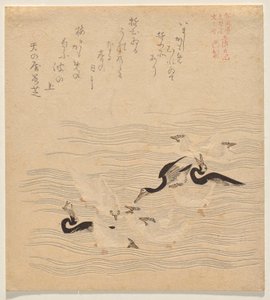 Donde se reunían y jugaban los cormoranes y las gaviotas, de la serie Tosa Nikki de Kubo Shunman