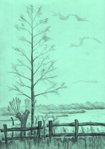  de Kulik