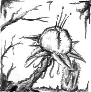  de Kulik