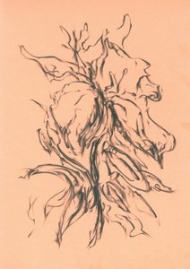  de Kulik