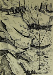  de Kulik