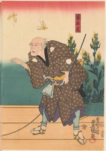 Shirotayû con dos mariposas