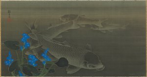Carpa, período Edo, principios del siglo XIX de Kuroda Toko