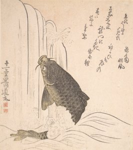 Carpas intentando nadar contra una cascada de Kurokawa Michita