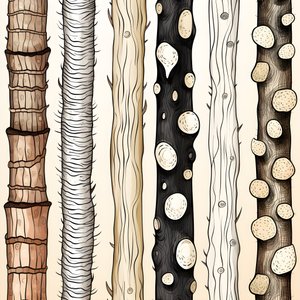 Tronco de árbol secciones, boho clipart, patrón de dibujo boho, tronco boho 1