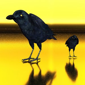 Textura con cuervos
