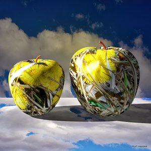 Manzanas de textura nº 3