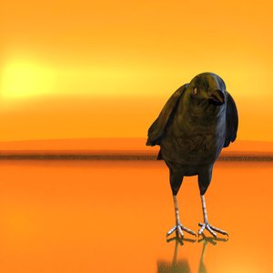Cómo crear una textura artística con cuervos