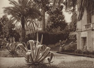 Roma: En el jardín del Vaticano (foto en blanco y negro)