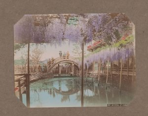 Personas en un puente, con glicinas en flor en primer plano, en Kameido, Tokio, Japón de Kusakabe Kimbei
