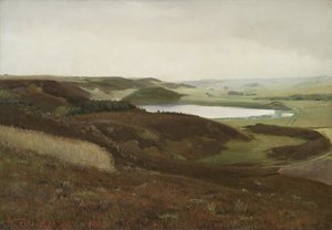 Un paisaje cerca de Bryrup, Jutlandia de Laurits Andersen Ring