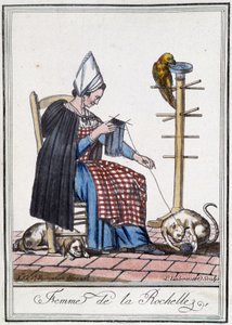 Mujer de La Rochelle tejiendo con un perro, un loro y un gato jugando con la bola de lana