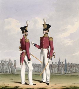 Oficiales de Campo de los Royal Marines, lámina 2 de 