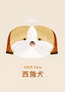 Shih tzu, 2019 de Léa Le Pivert