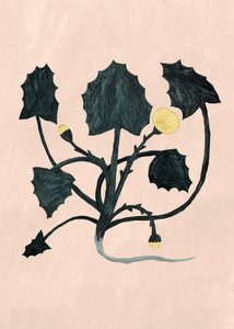 Planta desconocida, 2018