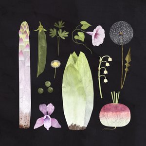 Veggies and Blooms, 2023 (digital) de Léa Le Pivert