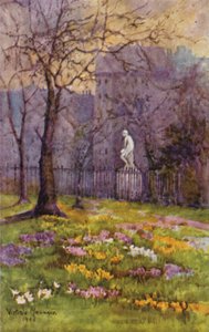 Azafranes al principio de la primavera, St James