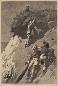 Incursión en una colonia de golondrinas de arena - "¿Cuántos huevos?" de Lagarde after Winslow Homer