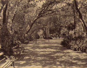 Jardín del Palacio Sookh-Vilas, 1880-90 de Lala Deen Dayal