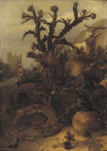 Cardo, calabaza y una cabra de Lambert Doomer