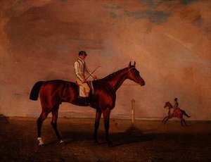 Caballo de carreras bayo con jockey en un hipódromo