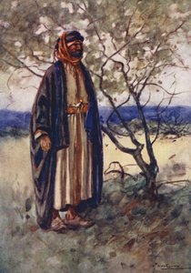 Pueblo de Egipto: Árabe beduino, Bedawi (litografía en color) de Lance Thackeray