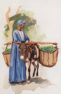 Pueblo de Egipto: Vendedor de verduras, Khodari (litografía en color)