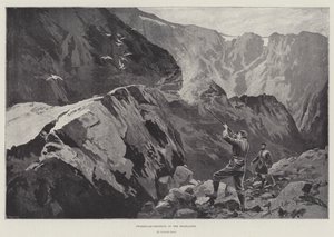 Caza de Perdiz Blanca en las Tierras Altas
