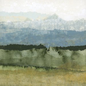 Paisaje verde brumoso