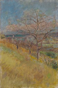 Valle con árboles en flor, 1890-1900