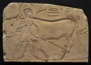 Hombres atando un buey, 667-647 a.C. de Late Period Egyptian