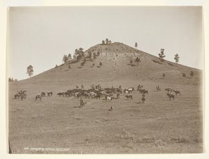 Trabajando un pequeño grupo en las colinas, c. 1900
