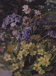 Estudio de Flores