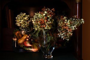 Hortensias secas de otoño de Laura Malaterra