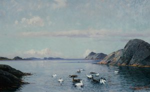 Costa sur con aves marinas de Lauritz Haaland