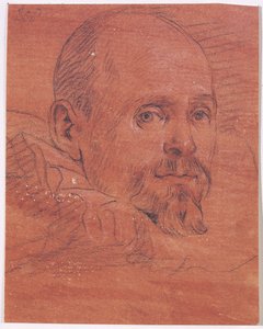Retrato de hombre de Lazzaro Tavarone