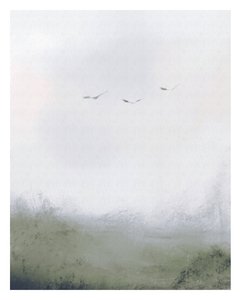 Pájaros volando sobre un campo, c.2018 (técnica mixta)
