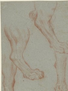 Hoja de estudio con dos patas de león de Leandro Bassano