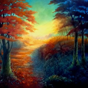Luz del bosque de Lee Campbell