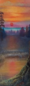 Luz del norte de Lee Campbell