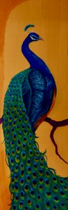 Pavo real I, 2023