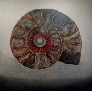 Amonita plateada, 2024 (óleo sobre lienzo) de Lee Campbell