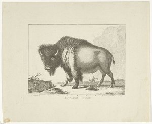 Bisonte de Leendert Brasser
