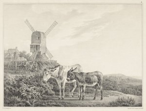 Dos burros en un paisaje cerca de un molino. Seis dibujos en piedra de L. de Koningh (título de la serie) de Leendert de Koningh