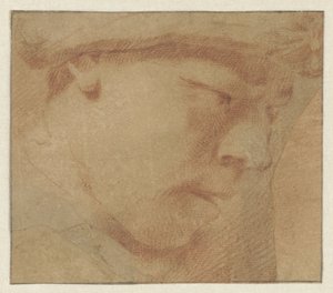 Cabeza de un niño, a la derecha de Leendert van der Cooghen (manner of)
