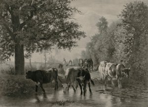 De vuelta a casa