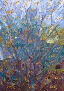 Avellano de bruja en flor, 2015 de Leigh Glover