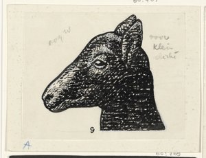 Cabeza de cordero de Leo Gestel (signed by artist)